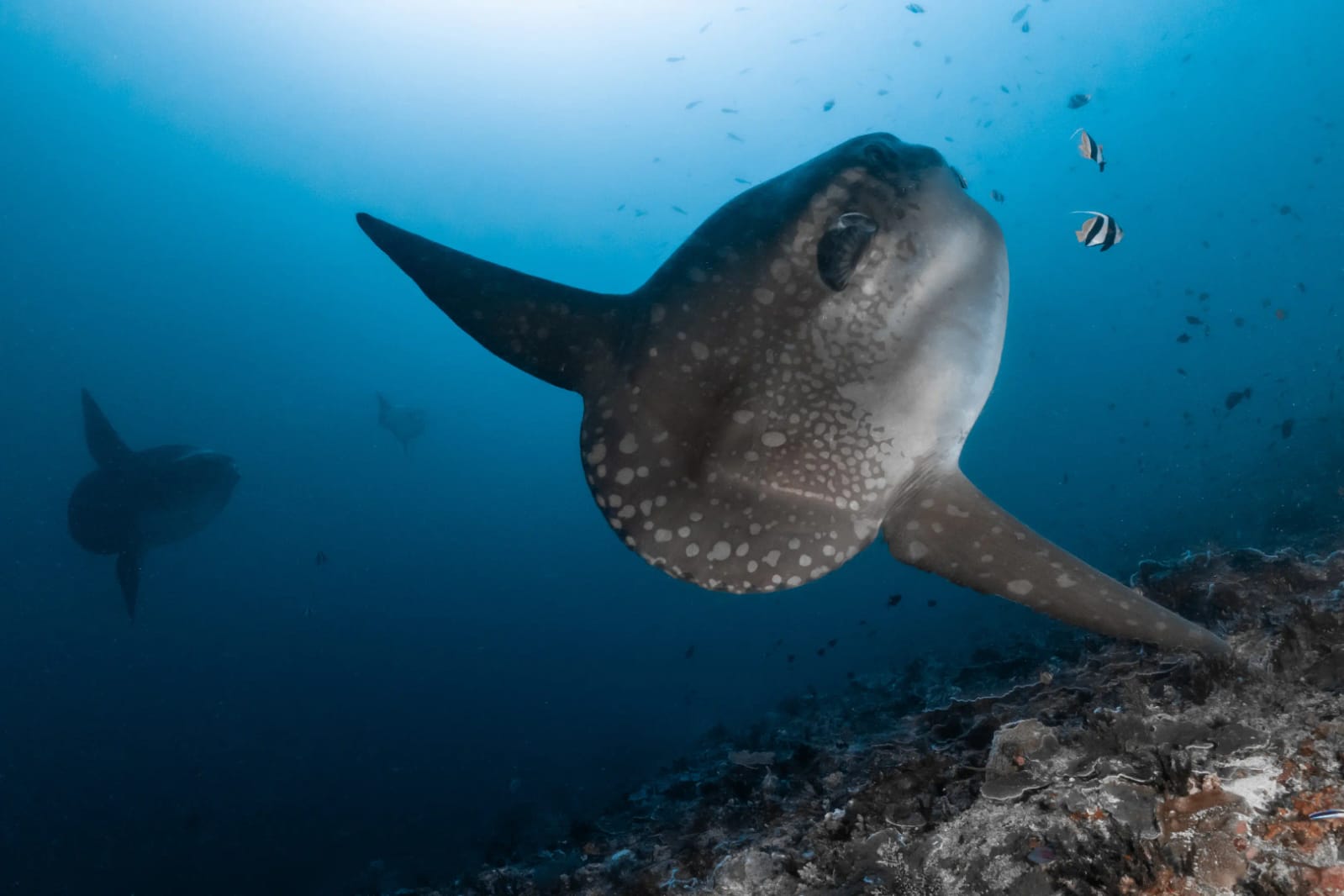 WhatsApp Image 2025-10-30 at 07.24.30_f2267058